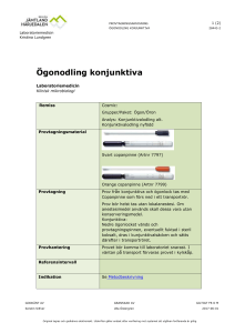 Ögonodling konjunktiva