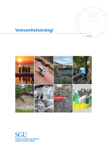 Verksamhetsstrategi