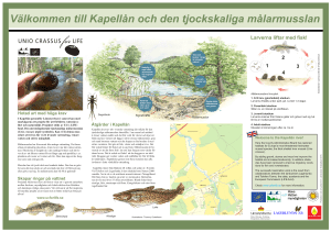 Larverna liftar med fisk! 1 2 3 4