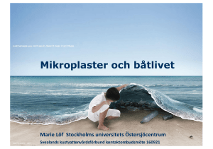 Mikroplaster i kroppsvårdsprodukter Mikroplaster och båtlivet