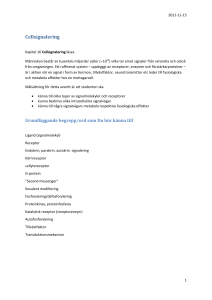 Cellsignalering