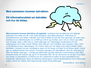 Med sommaren kommer åskvädren Ett informationsblad om