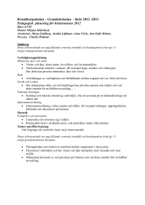Termimnsplanering Engelska nivå 2