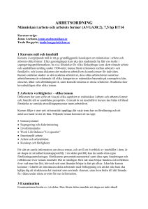 Arbetsordning Människan i arbete
