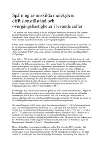 Spårning av enskilda molekylers diffusionstillstånd och