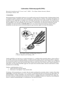 Introduktion till datorbaserad lab-utrustning - Odontologi-wiki