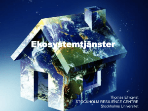 Ekosystemtjänster