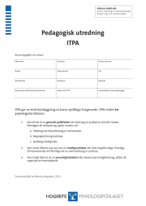 Pedagogisk utredning ITPA