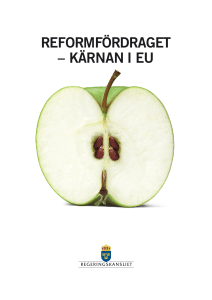 reformfördraget – kärnan i eu