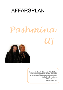 Affärsidé Pashmina UF