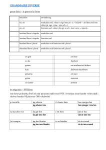 GRAMMAIRE DIVERSE