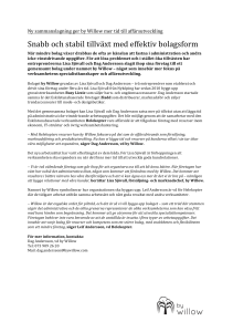 Snabb och stabil tillväxt med effektiv bolagsform
