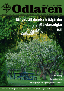 Utflykt till danska trädgårdar Mördarsniglar Kål