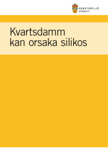 Kvartsdamm kan orsaka silikos