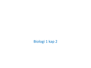Biomolekyler /Kolhydrater