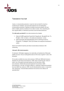 Testosteron hos katt - Universitetsdjursjukhuset