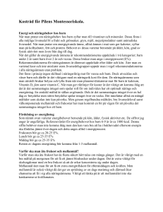 Kostråd för Pilens Montessoriskola
