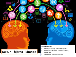 Kultur – hjärna - lärande Den kulturella hjärnan