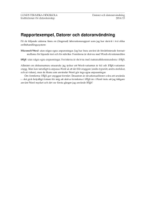 Rapportexempel, Datorer och datoranvändning