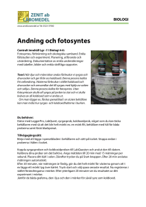 Andning och fotosyntes