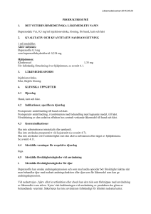 Buprenodale Vet solution for injection SmPC