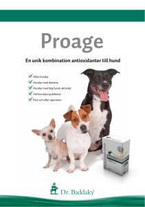Proage - Dr. Baddaky