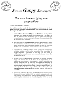 ladda ner pdf - Svenska Guppy Sällskapet