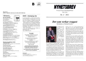 Det som verkar svagast - Sveriges Kristna Handikappförbund