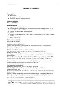 Vägledning till Sjömonstret