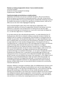 Påverkan av träning på epigenetiskt mönster i human