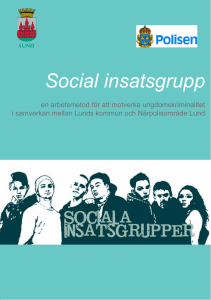 Social insatsgrupp