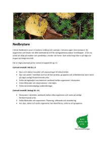 Nedbrytare