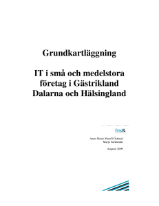 Grundkartläggning IT i små och medelstora företag i