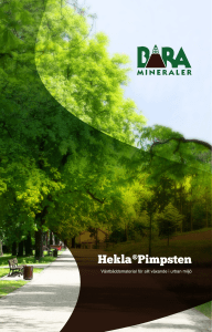 Hekla®Pimpsten - Bara Mineraler