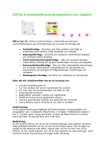 LPP år 6 matematik,koordinatsystem och algebra x yza
