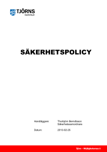 säkerhetspolicy