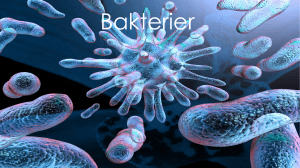 Bakterier - Ask Valdi