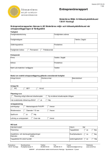 Entreprenörsrapport