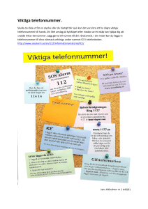 Viktiga telefonnummer.