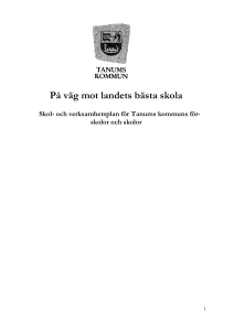 Sammanställning av utvecklade framgångsfaktorer