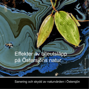 Effekter av oljeutsläpp på Östersjöns natur