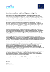 Jämställdhetsanalys av projektet