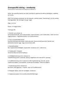 Grenspecifik träning – innebandy
