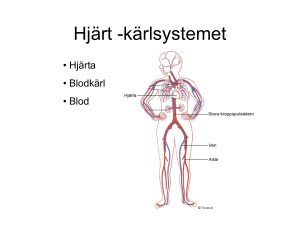 Hjärtat