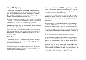Juldagen 2014 i Växjö domkyrkan Det finns en by, som idag snarare