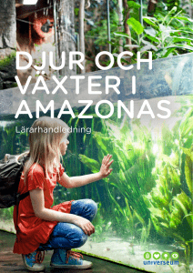 Lärarhandledning