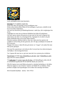 LITE INFORMATION OM ÖGONEN