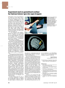 Experiment med en gummihand avslöjar hur hjärnan känner igen