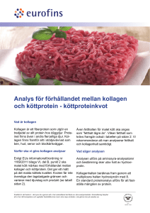 160113 Förhållandet kollagen och köttprotein.indd
