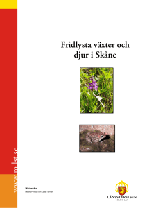 Fridlysta växter och djur i Skåne